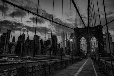 The Brooklyn Bridge, one of the most iconic landmarks in the city, was no longer filled with runners and bikers.