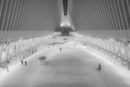 The World Trade Center Transportation Hub, also known as The Oculus, was void of any significant activity during the evening rush hour on Apr. 5, 2020.